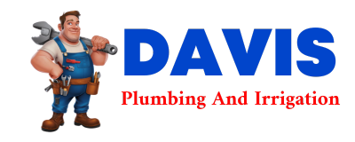 Trusted plumber in LEOPOLIS